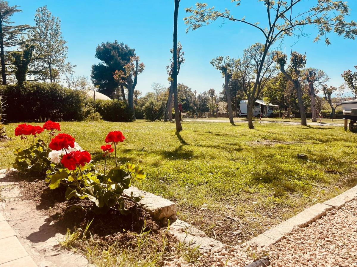 Camping Torre Mucchia Ortona Exterior foto