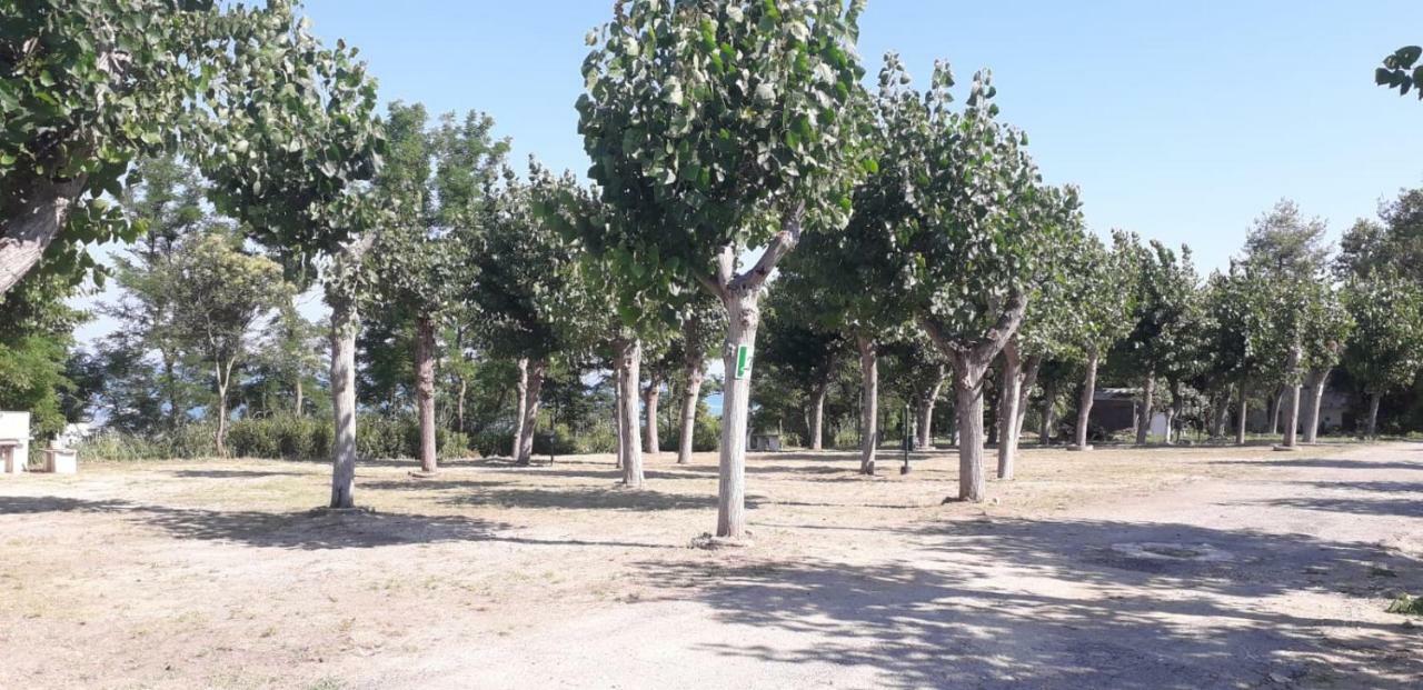 Camping Torre Mucchia Ortona Exterior foto